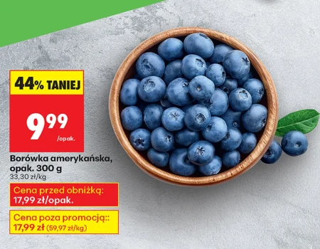 Borówka amerykańska