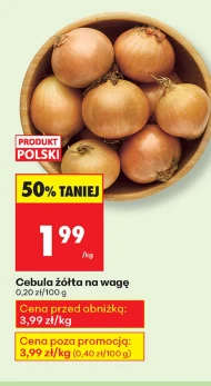 Cebula Polski