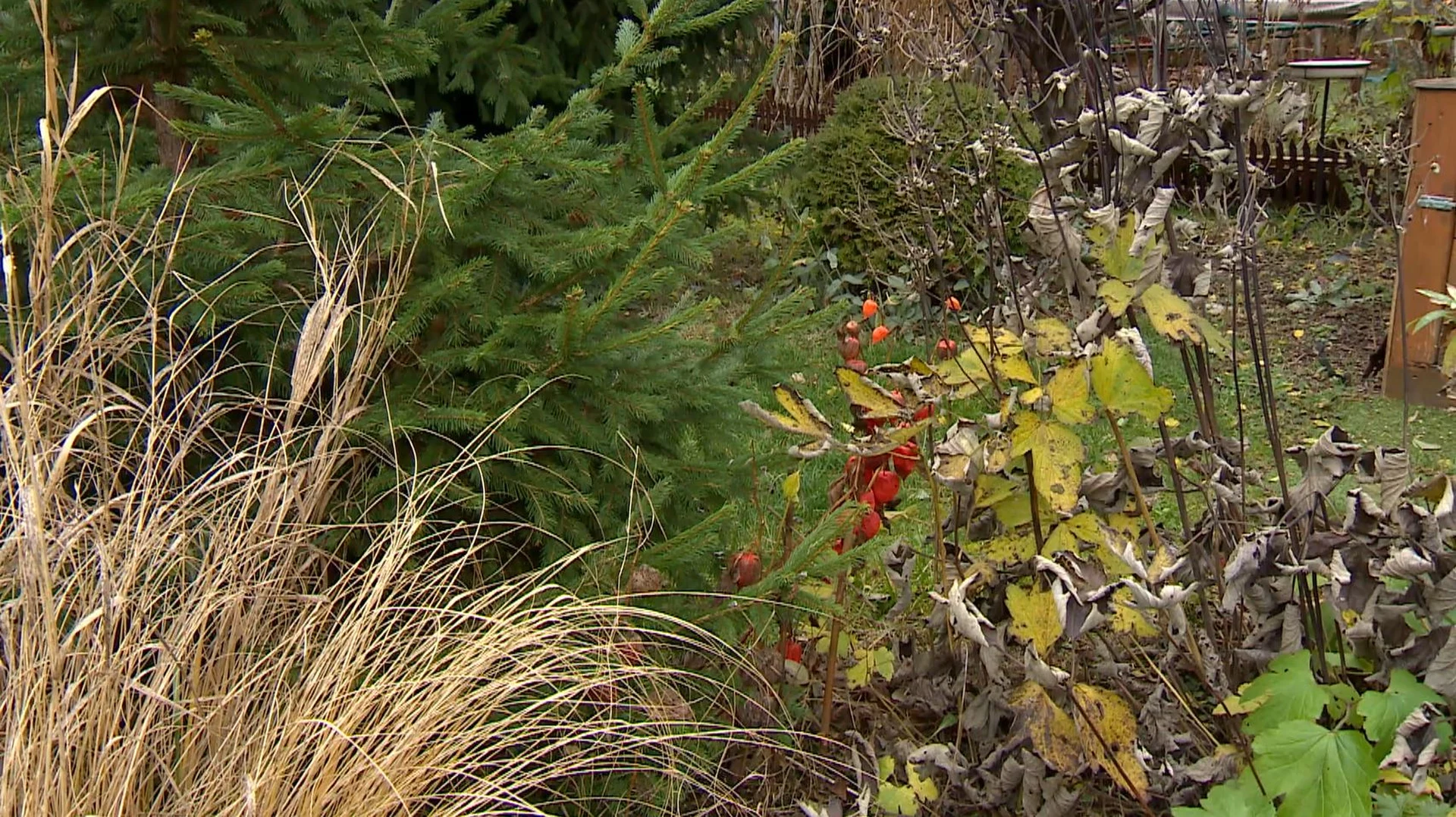 Rodzinne ogrody działkowe