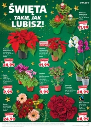 Магія знижок - Кауфланд