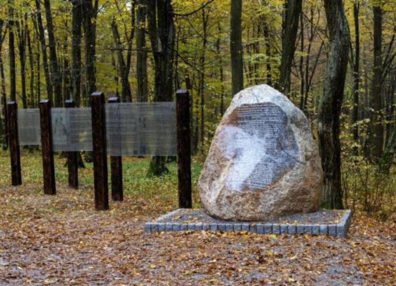 Na Podkarpaciu powstał nowy rezerwat przyrody Na Podkarpaciu powstał nowy rezerwat przyrody