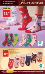 Świąteczne hity i inspiracje - Biedronka