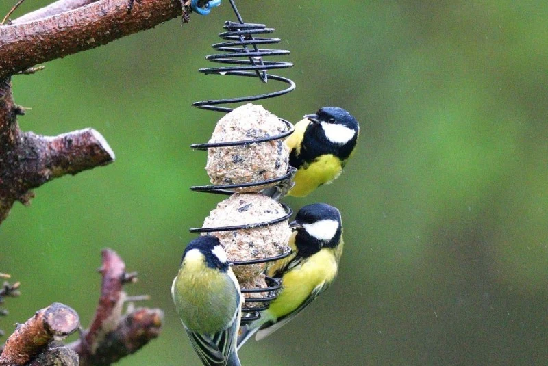 Stare mieszadło do jajek czy kremu znajdzie się w każdej kuchni.