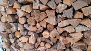 Czy drewno owocowe nadaje się do ogrzania całego domu?/Deccoria.pl