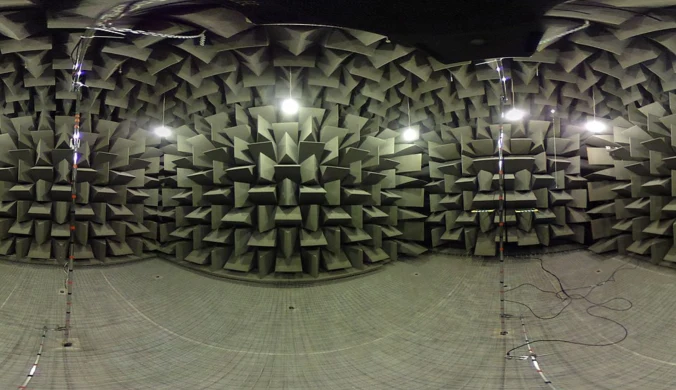 To najcichsze miejsce na Ziemi. Robi "reset mózgu"