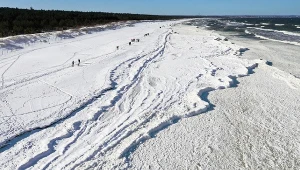 Wyspa Sobieszewska zimą 