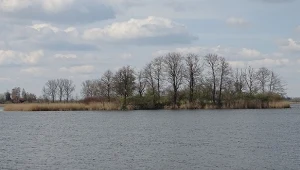 Wyjątkowe znalezisko w jeziorze. Leżały pod wodą od średniowiecza