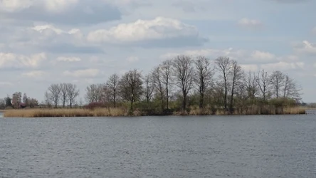 Lednica odkryła kolejne skarby. Archeolodzy znaleźli cztery wyjątkowe włócznie sprzed tysiąca lat