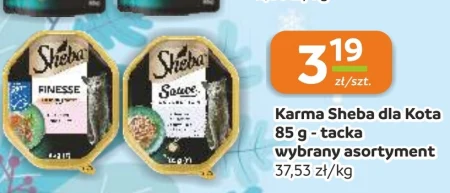 Karma dla kota Sheba