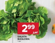 Sałata masłowa
