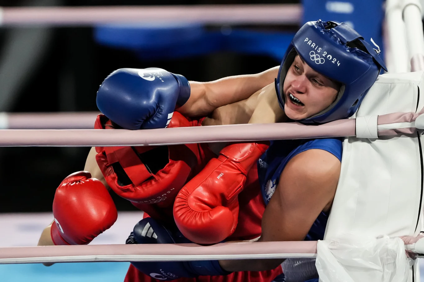 Julia Szeremeta (z prawej) Dwie bokserki w trakcie walki na ringu, jedna w niebieskim stroju i kasku przyciśnięta do lin przez przeciwniczkę w czerwonym stroju, widoczne zacięcie i emocje na twarzach zawodniczek.