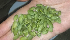 Chrupiąca przekąska pełna minerałów i zdrowych tłuszczów. Chrup na zdrowie 