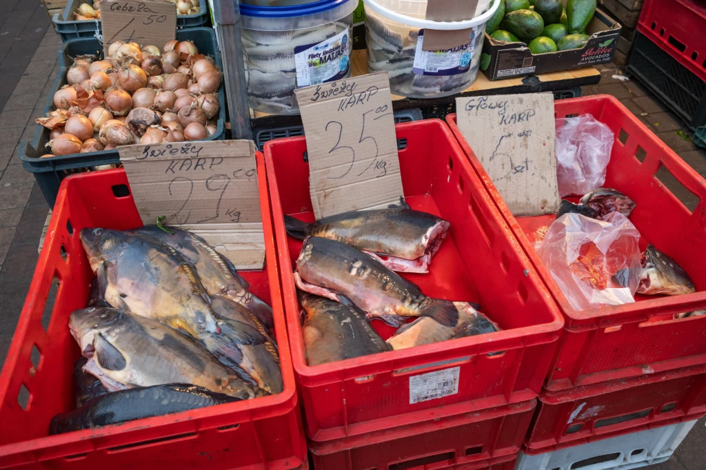 Jakie są ceny karpi w tym roku? Dla wielu mogą być zaskoczeniem Skrzynki wypełnione świeżymi karpiami pokrojonymi na kawałki oraz napisy na kartonach z cenami ryb, w tle widoczne warzywa takie jak cebula.