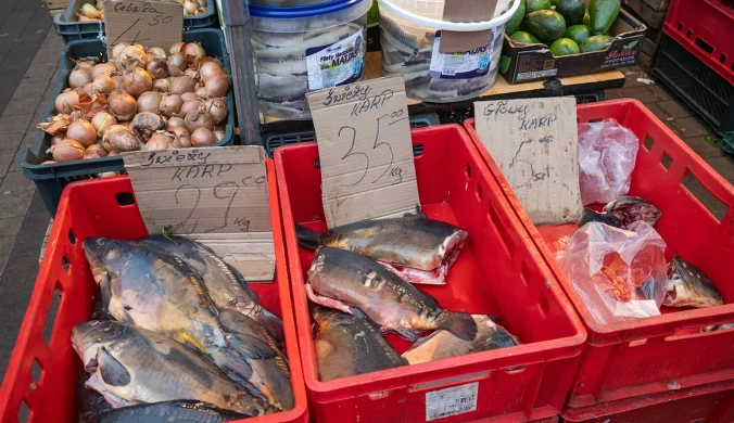 Jakie są ceny karpi w tym roku? Dla wielu mogą być zaskoczeniem