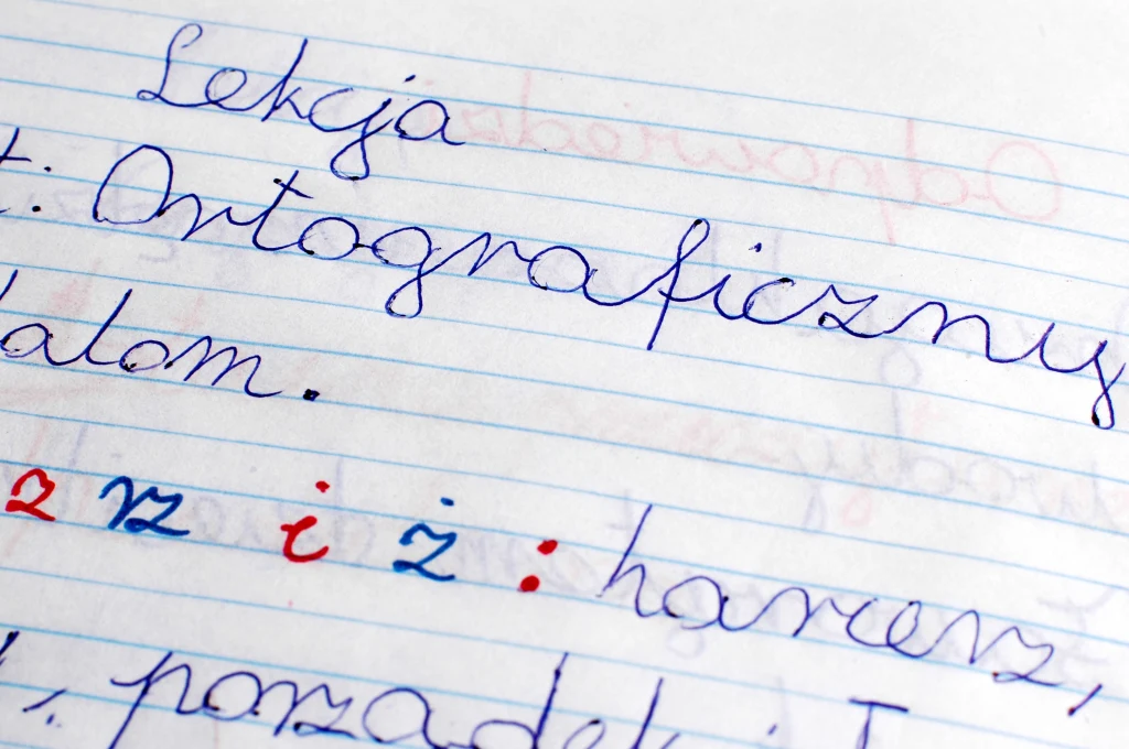 Fragment zeszytu z notatkami z lekcji języka polskiego, napisany odręcznie niebieskim długopisem, z kolorowymi oznaczeniami zasad ortograficznych dotyczącymi stosowania liter rz, ż i z.