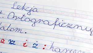 Makaroniarz wielką literą. Nowe zasady polskiej ortografii od 1 stycznia