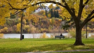 Znasz te andrzejkowe zwyczaje? Sprawdź się w naszym quizie
