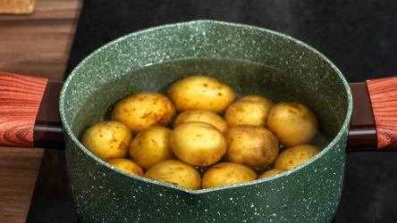 Woda po ziemniakach to jeden z najlepszych naturalnych nawozów do roślin doniczkowych