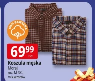 Koszula męska Moraj