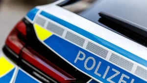 Zatrzymali Polaka do kontroli. Zaczęło się, gdy odkryli, co ma w bagażniku