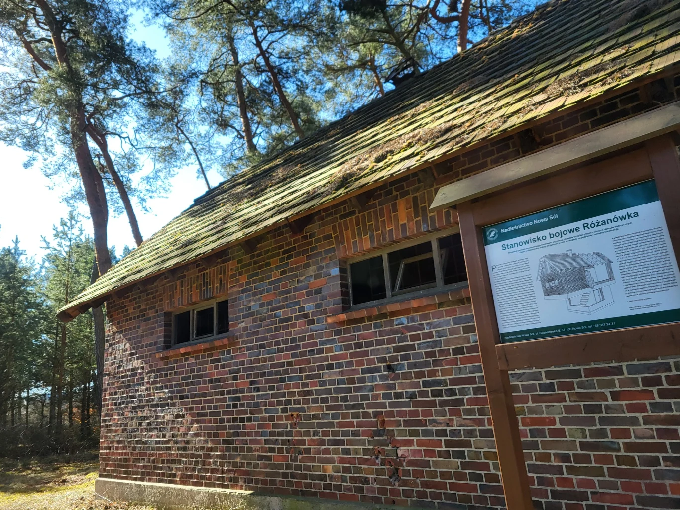 Ceglany budynek o solidnej konstrukcji otoczony sosnami, widoczna tablica informacyjna z opisem historycznego stanowiska bojowego Różanówka, dach porośnięty mchem.