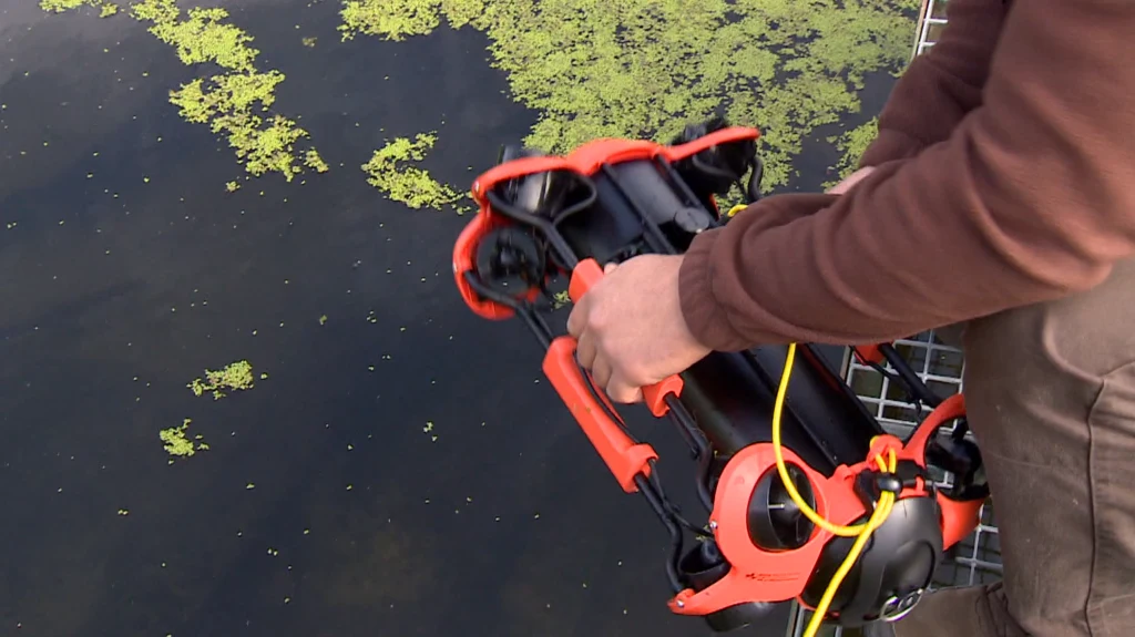 Polscy naukowcy pływają za rybami specjalnymi dronami Osoba trzyma podwodnego drona z pomarańczowymi elementami, stojąc nad wodą pokrytą glonami. Sprzęt wyposażony jest w przewód zasilający, przygotowywany do opuszczenia do wody.