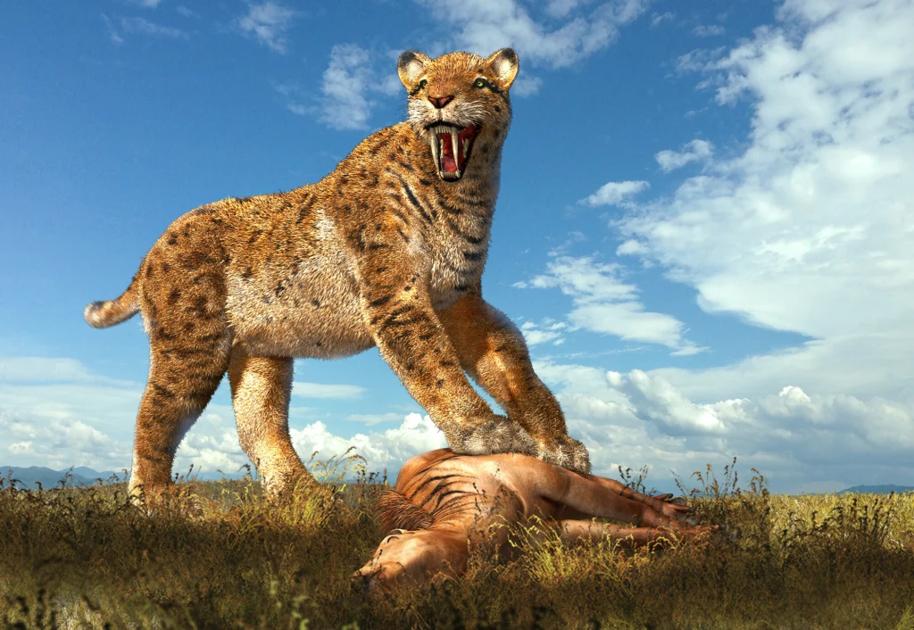 Smilodon to jeden z bohaterów „Prehistorycznej planety” poświęconej epoce lodowcowej Wielki prehistoryczny kot szablozębny stoi z wyszczerzonymi kłami nad ciałem leżącego człowieka na otwartej prerii, trzymając zdobycz łapą. Na niebie widoczne są chmury, a w tle rozciąga się dzika trawiasta przestrzeń.