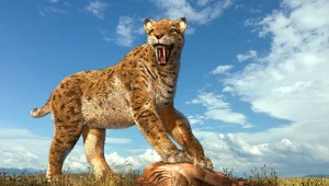 Wkroczyła zupełnie inna epoka lodowcowa, pełna upału. Możemy ją zobaczyć