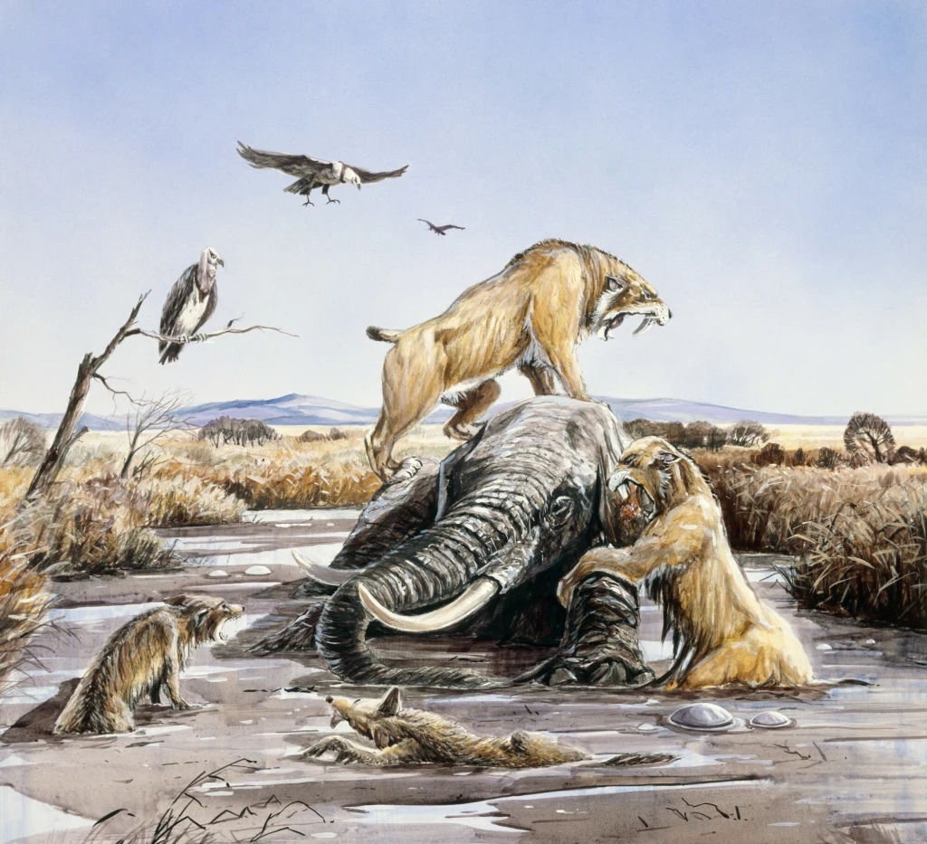 Jezioro asfaltowe w La Brea to miejsce, gdzie utonęło w smole tysiące prehistorycznych zwierząt Jezioro asfaltowe w La Brea to miejsce, gdzie utonęło w smole tysiące prehistorycznych zwierząt