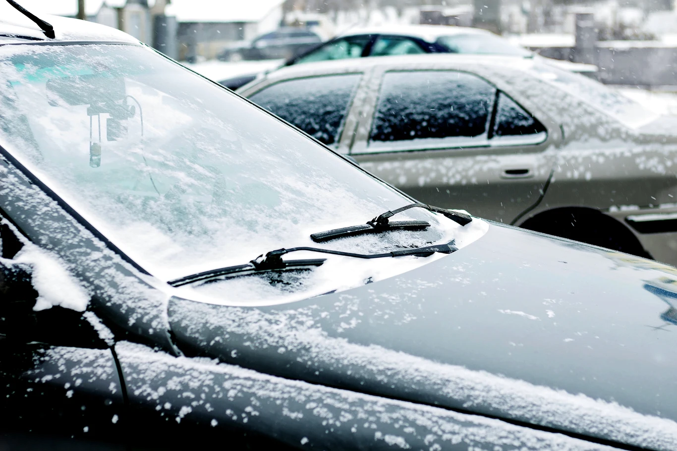 Warto posłużyć się folią bąbelkową, aby zapobiec zamarzaniu szyby samochodowej w czasie mrozów. Trzeba jednak wiedzieć, jak i kiedy sposób ten działa. Warto posłużyć się folią bąbelkową, aby zapobiec zamarzaniu szyby samochodowej w czasie mrozów. Trzeba jednak wiedzieć, jak i kiedy sposób ten działa.
