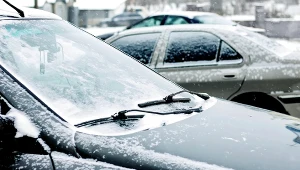 Zamiast wyrzucać do kosza, weź zimą do samochodu. Efekt cię zaskoczy