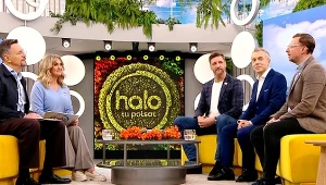 Jak objawia się rak pęcherza? Sygnały, których nie wolno ignorować