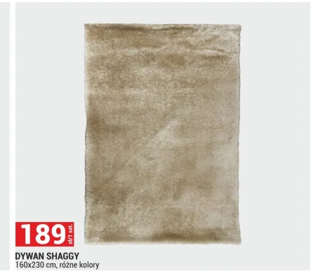 Dywan Shaggy