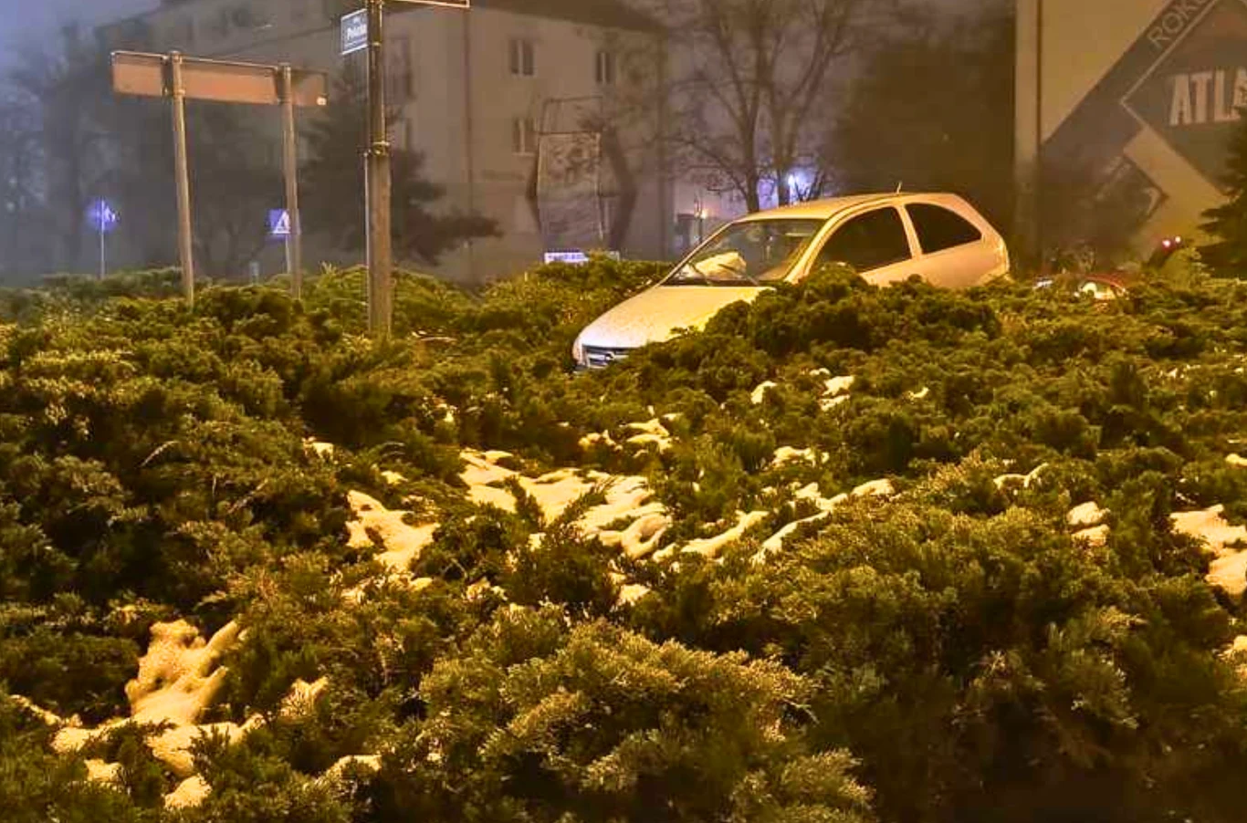 Samochód osobowy utknął w gęstych krzewach na środku ronda, wokół widoczne są resztki śniegu oraz budynki mieszkalne w tle.