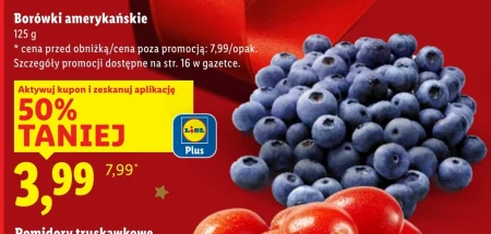 Borówki amerykańskie