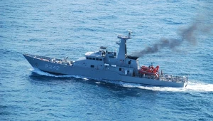 Rzadki gatunek ma zostać uratowany. Do akcji wkraczają okręty wojenne