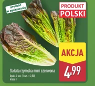 Sałata rzymska Polski