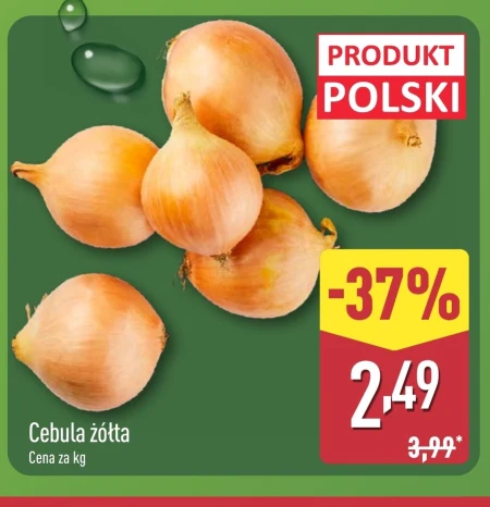 Cebula Polski