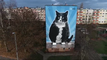 Czysta Polska - odcinek 240