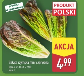 Sałata rzymska Polski niska cena