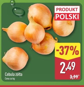 Cebula Polski niska cena