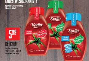 Ketchup Kotlin niska cena