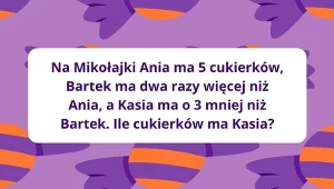 Mikołajkowe wyzwania logiczne. Sprawdź, jak działa twój umysł