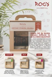 Mikołaj dla małych przyjaciół – Aquael Zoo