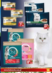 Grudniowe hity na stół – Hala Wola