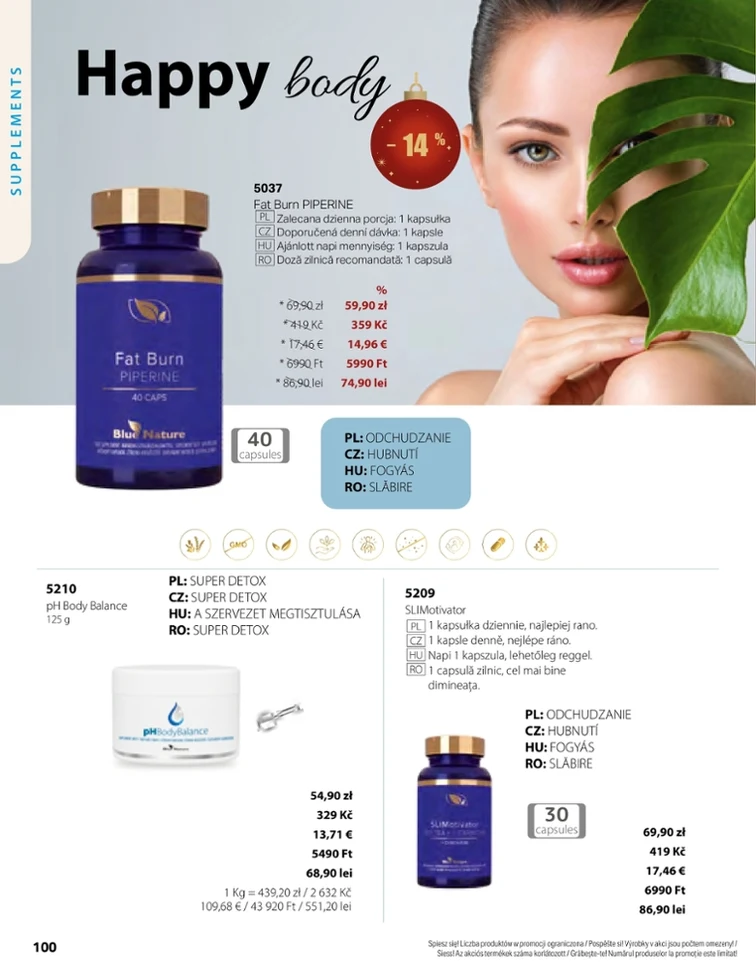 leaflet page preview image