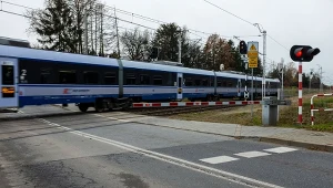 Pociąg zatrzymany w Obornikach Śląskich. Przyczyną niepokojąca nazwa użytkownika sieci (zdj. ilustracyjne)
