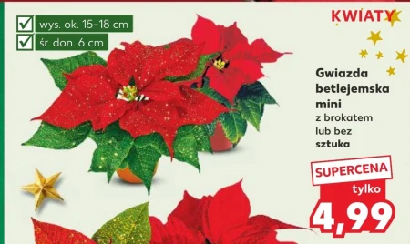 Вифлеємська зірка Ok.