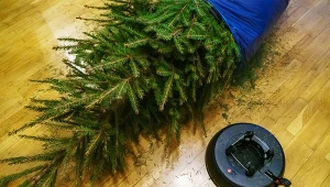 O tej funkcji stojaka do choinki mało kto wie. Drzewo przetrwa długi czas