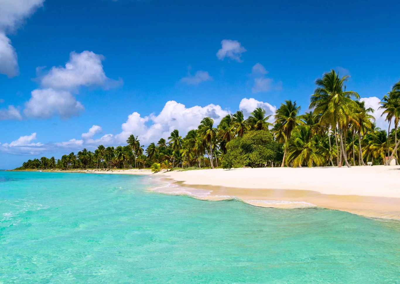 Turkusowa woda morska opływająca szeroką, piaszczystą plażę z gęsto rosnącymi palmami pod czystym, niebieskim niebem z niewielką ilością białych chmur.